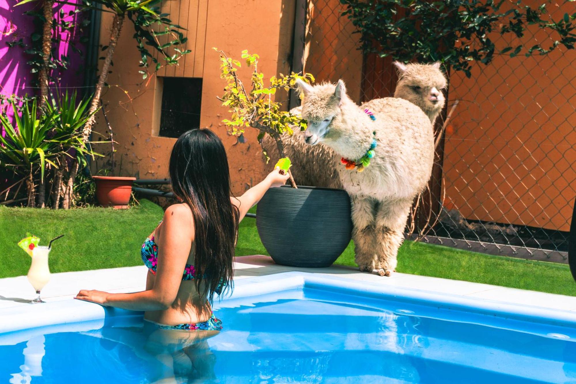 Hotels Collect Adriana Monet Arequipa Buitenkant foto